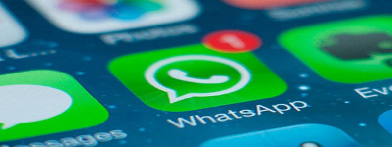 What you need to know if you want to use the new WhatsApp for companies